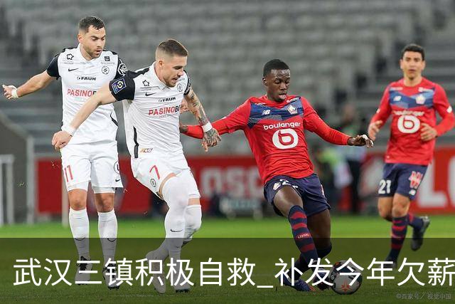 武汉三镇积极自救 补发今年欠薪 准入大概率会解决