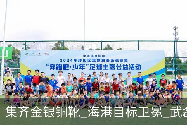 集齐金银铜靴 海港目标卫冕 武磊的伤是个麻烦